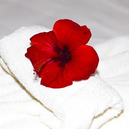 База отдыха Villaggio Camping Mimosa Никотера-Марина