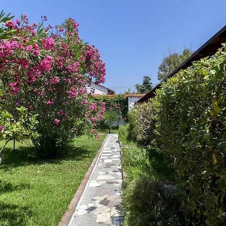 Village de vacances Villaggio Camping Mimosa Nicotera