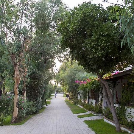 Prázdninový areál Villaggio Camping Mimosa 2*