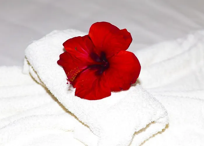 Ferienpark Villaggio Camping Mimosa Nicotera