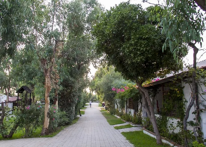 Ferienpark Villaggio Camping Mimosa 2*